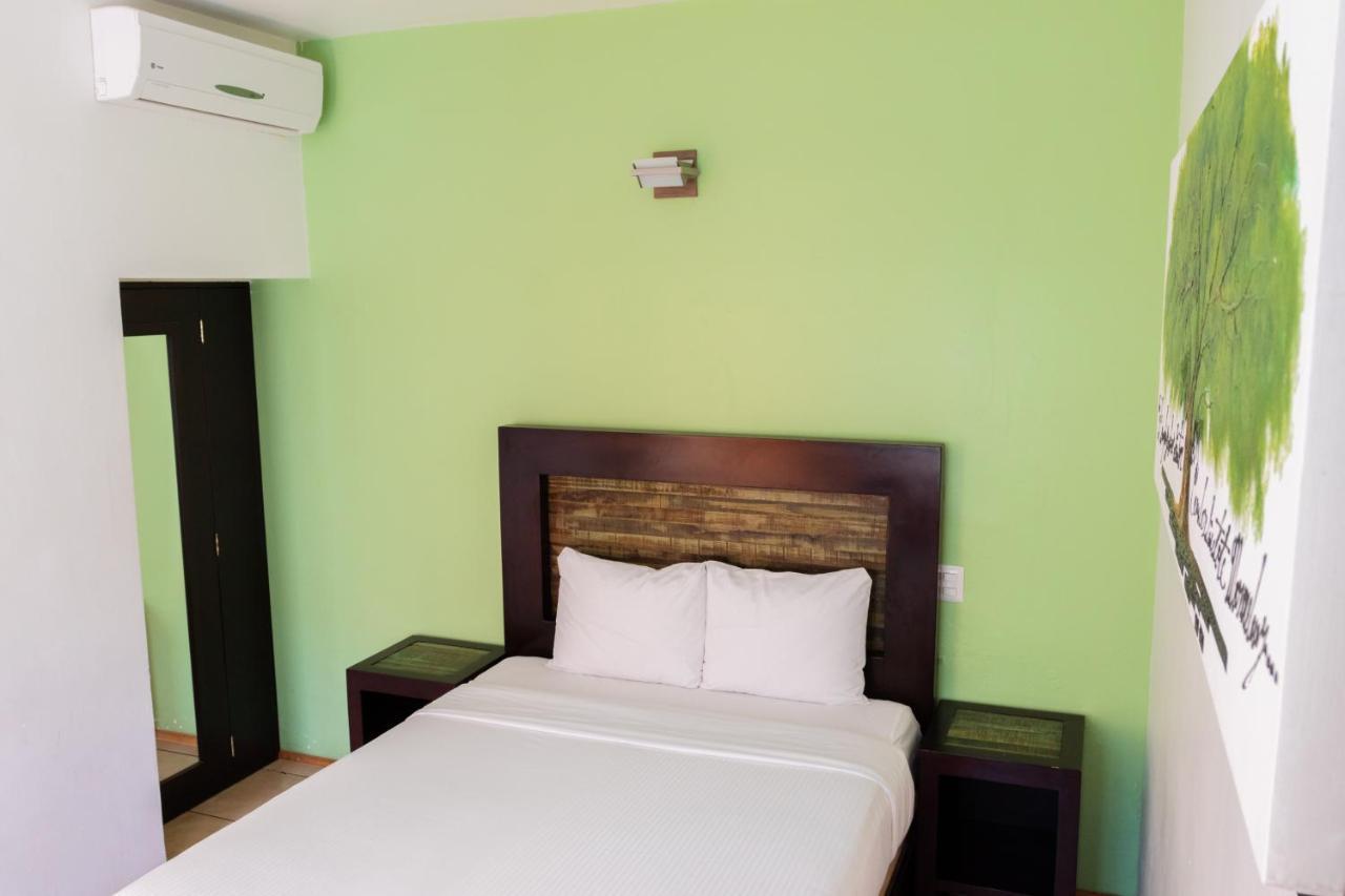 Happy Express Hotel Oaxaca Dış mekan fotoğraf